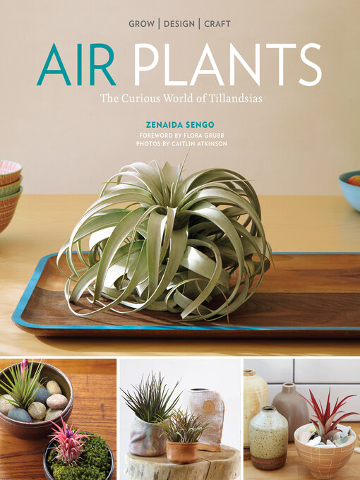 Title details for Air Plants by Zenaida Sengo - Wait list